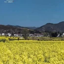 汉中旅游 缩略图 1
