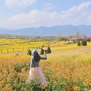 汉中旅游 缩略图 10