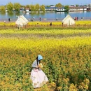 汉中旅游 缩略图 17