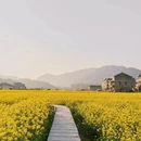 汉中旅游 缩略图 3
