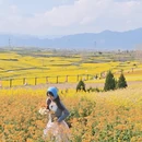 汉中旅游 缩略图 11