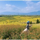 汉中旅游 缩略图 18