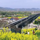 汉中旅游 缩略图 3