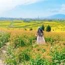 汉中旅游 缩略图 16