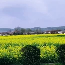汉中旅游 缩略图 6