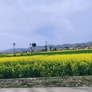 汉中旅游 缩略图 5