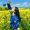 汉中旅游 缩略图 2
