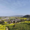 汉中旅游 缩略图 4