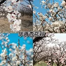 西安旅游 缩略图 4