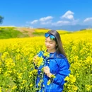 汉中旅游 缩略图 11