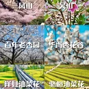 西安旅游 缩略图 1