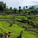 汉中旅游 缩略图 3
