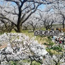 西安旅游 缩略图 5