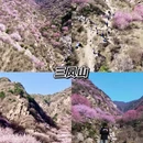 西安旅游 缩略图 2