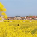 汉中旅游 缩略图 4