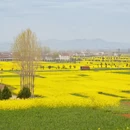 汉中旅游 缩略图 6