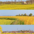 汉中旅游 缩略图 2