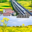 西安旅游 缩略图 6