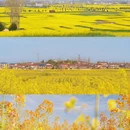 汉中旅游 缩略图 1