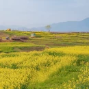 汉中旅游 缩略图 7