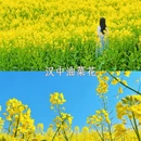 西安旅游 缩略图 8