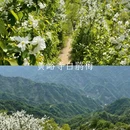 西安旅游 缩略图 6