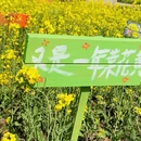 汉中旅游 缩略图 2