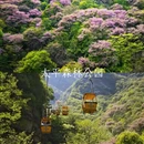 西安旅游 缩略图 5