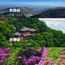 西安旅游 缩略图 4