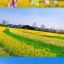 汉中旅游 缩略图 1