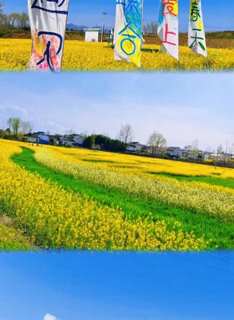 汉中旅游 1