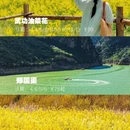 西安旅游 缩略图 3