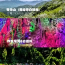 西安旅游 缩略图 2