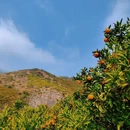 汉中旅游 缩略图 6