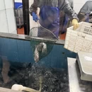 汉中旅游 缩略图 14