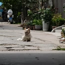 汉中旅游 缩略图 10