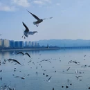 汉中旅游 缩略图 6