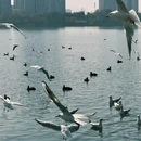 汉中旅游 缩略图 7