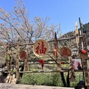 汉中旅游 缩略图 8
