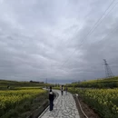 汉中旅游 缩略图 5