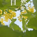 汉中旅游 缩略图 1