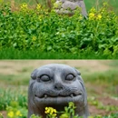 洛阳旅游 缩略图 4