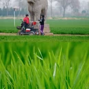 洛阳旅游 缩略图 3