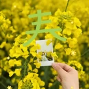汉中旅游 缩略图 2