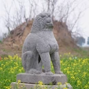 洛阳旅游 缩略图 11