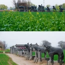 洛阳旅游 缩略图 15