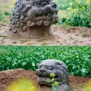 洛阳旅游 缩略图 16