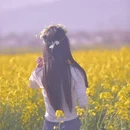 汉中旅游 缩略图 4