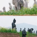洛阳旅游 缩略图 17