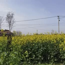 宝鸡旅游 缩略图 1